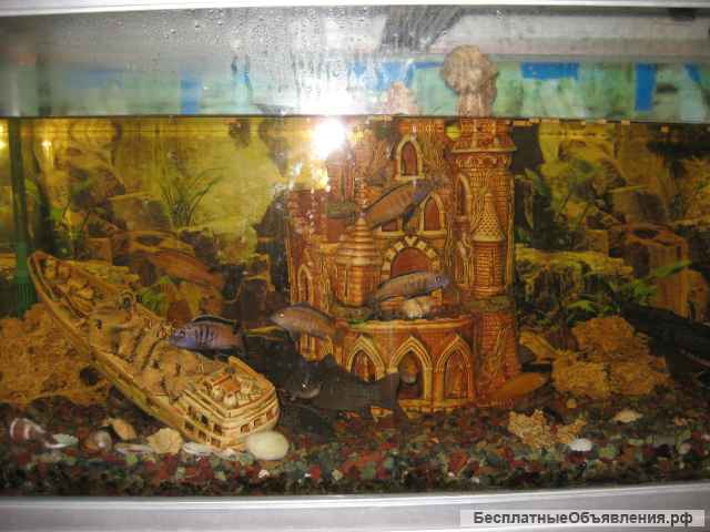 Декор для аквариума