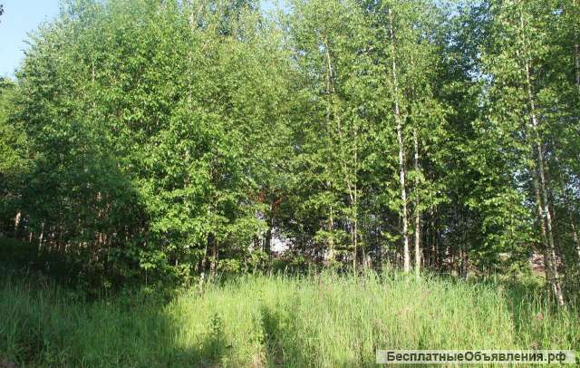 Участок в д. Вахромеево (го Домодедово), 10 соток