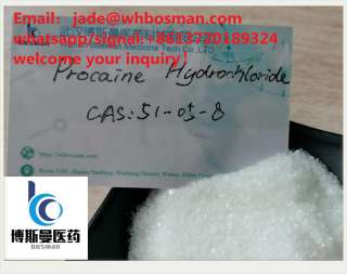 China fractory fast delivery Procaine hydrochloride 51-05-8