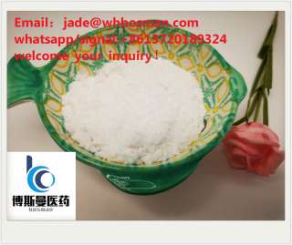 High quality Methylamine hydrochloride593-51-1 in stock