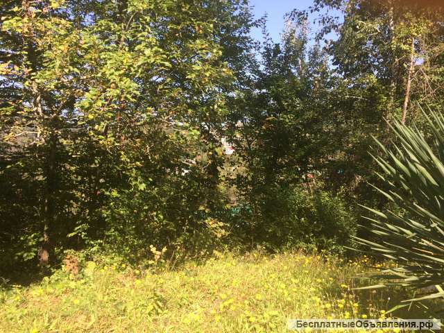 Земельного участка 18.5 сот в Хосте