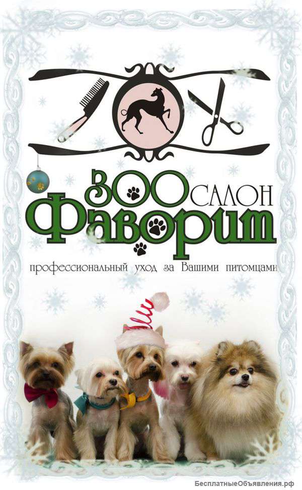 Шкoлa Гpумингa "Фaвopит"