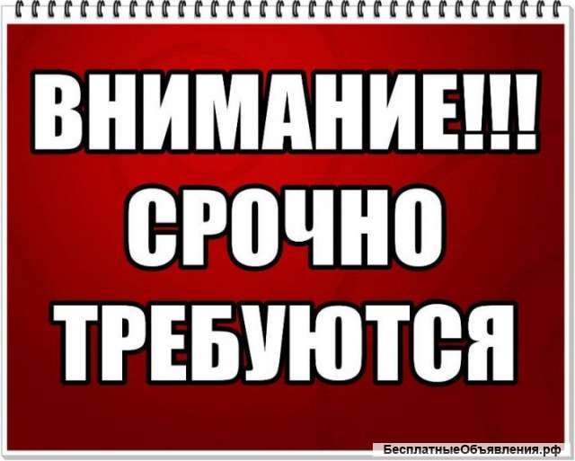 Требуются сотрудники