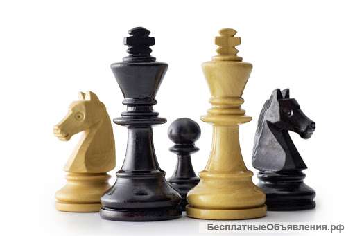 Школа шахмат для детей м. Котельники