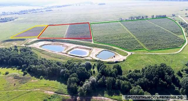 Агро-бизнеса