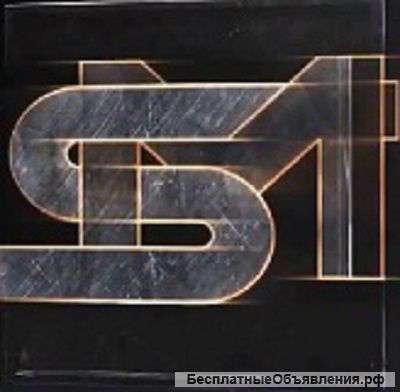 Лицензия Регионального представителя