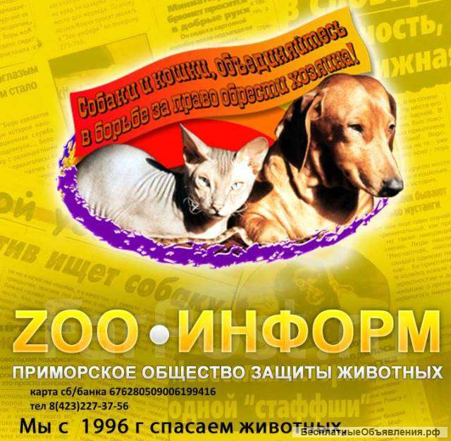 Нужна помощь животным попавшим в беду