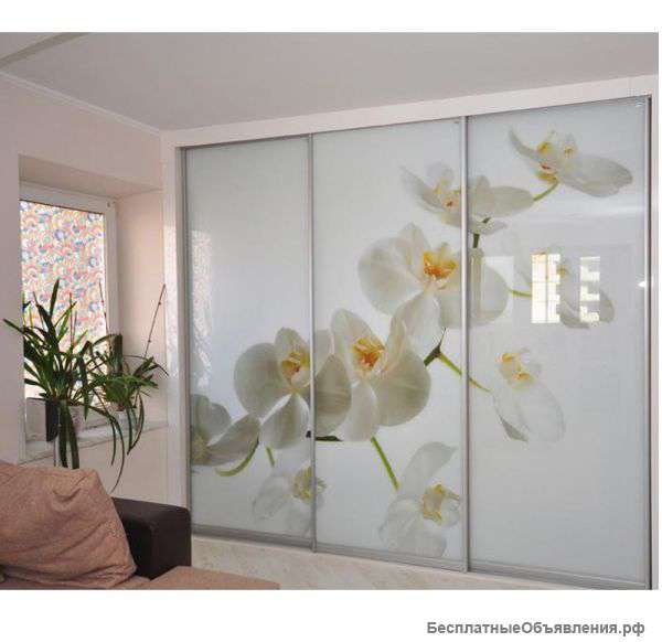 Двери-купе(фотопечать)