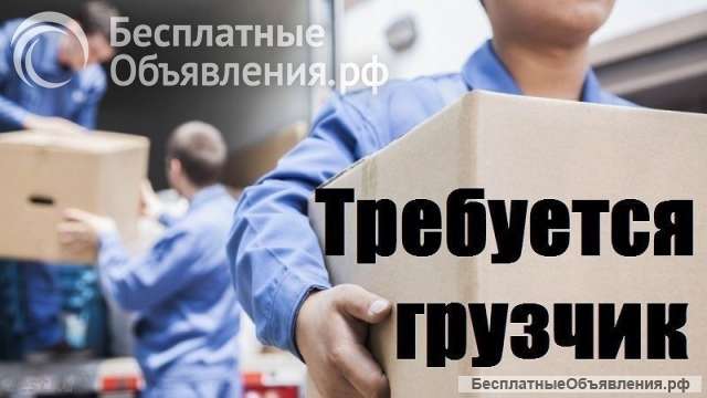 Требуется Г Р У З Ч И К в транспортную компанию