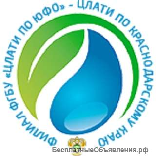 Руководитель лаборатории