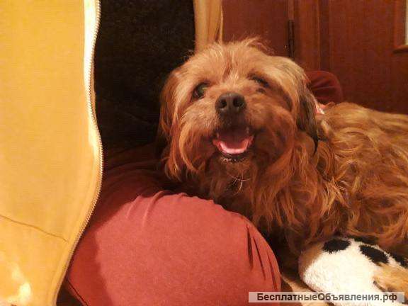 Помогите Кирюше вернуться домой