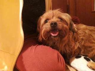 Помогите Кирюше вернуться домой