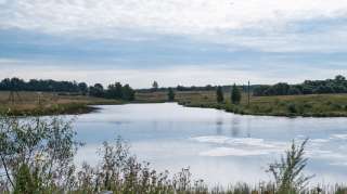 Участок в поселке "Зеленая Миля"