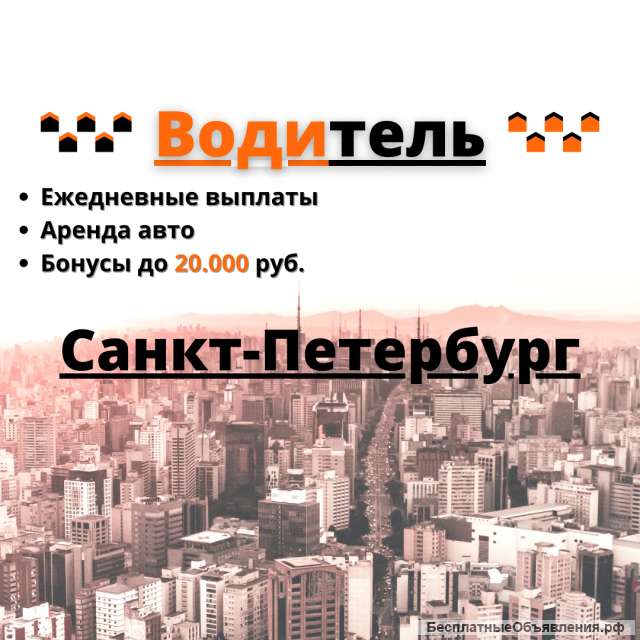 Водитель автомобиля