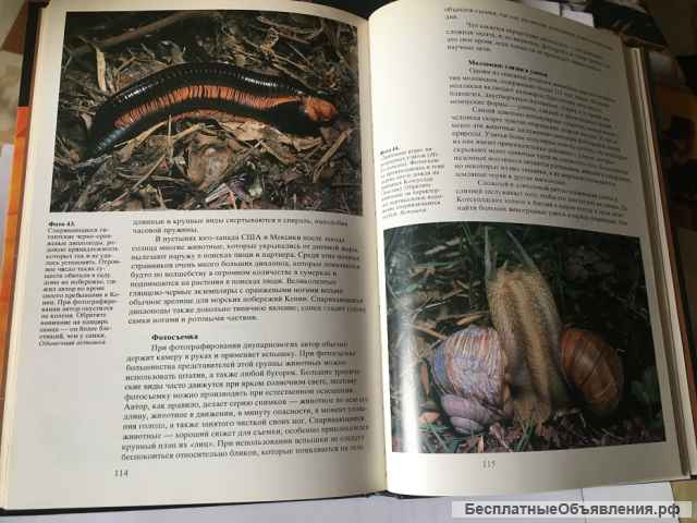 К. Престон-Мэфем. Фотографирование живой природы