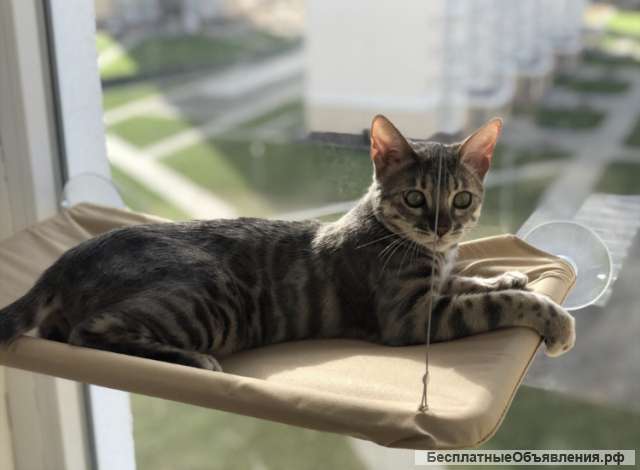 Лежанка гамак новая