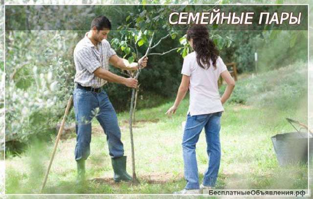 Семейная пара. Лобня