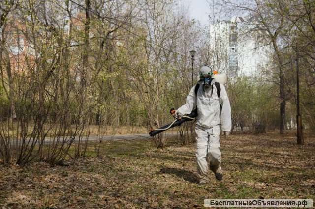Уничтожение клопов. Обработать от клещей и комаров Покров СЭС адрес телефон
