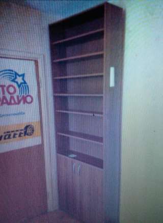 Шкаф для дома, офиса, книг