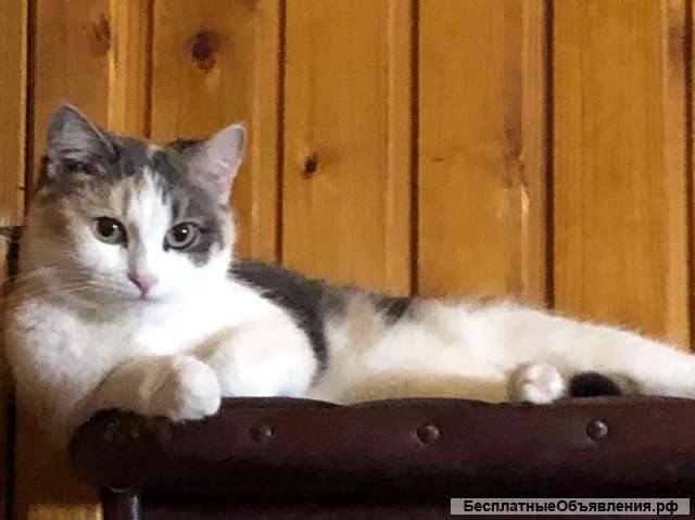 В любящие заботливые руки