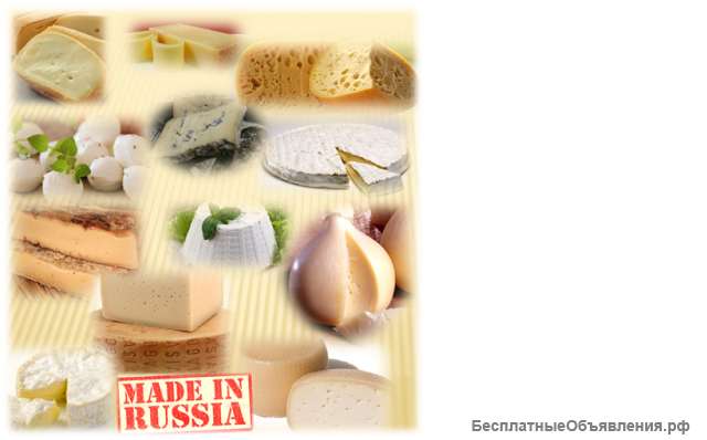 Курсы мастеров-сыроваров