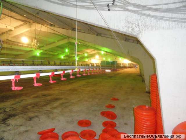 Птицефабрика