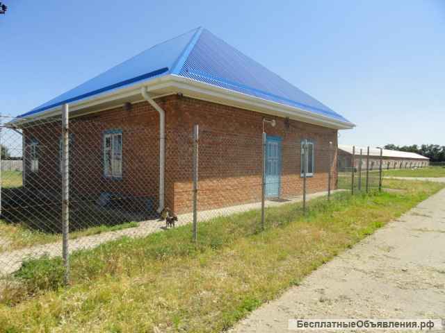 Птицефабрика