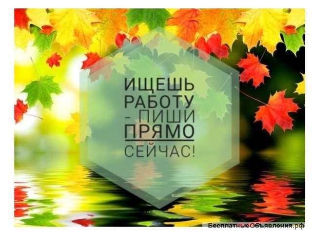 Требуются сотрудники