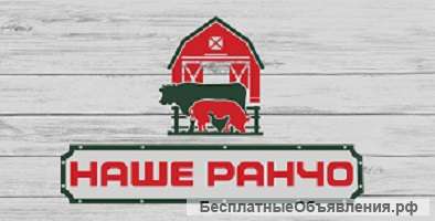 Требуется продавец-кассир в магазин