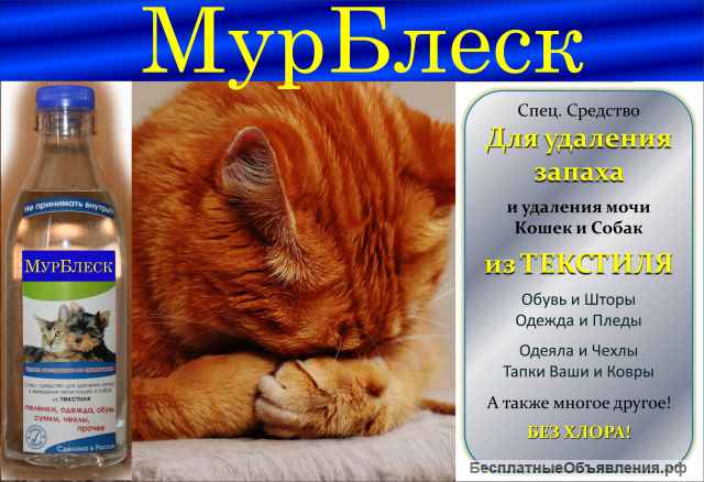 От запаха кошачьей мочи