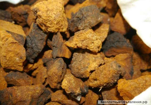 Чага кусочками