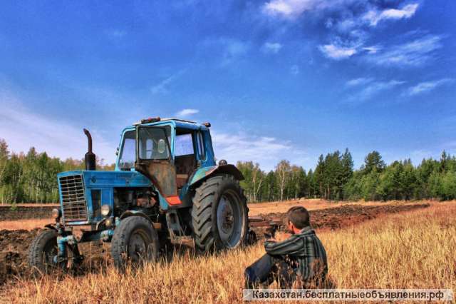 Работа трактористом в Воронежской области