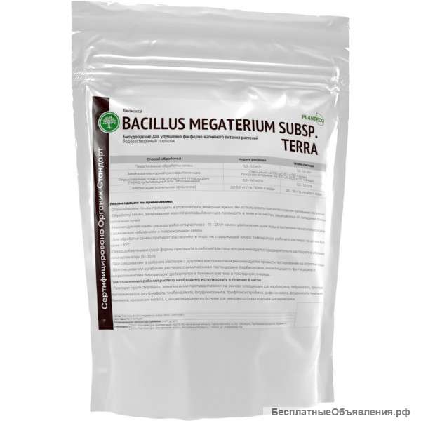 Bacillus megaterium Organic