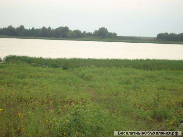 Дом село Марфино