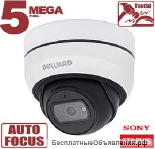 IP камера NT54190DZ1