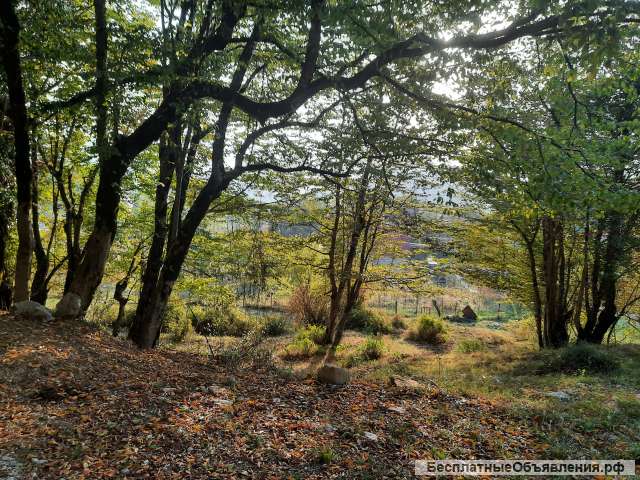 25 сот Сочи. с. Илларионовка