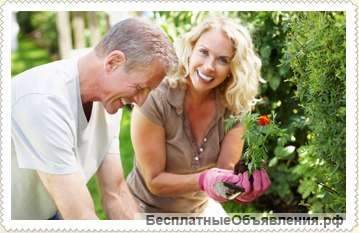 Семейная пара. поселок Коммунарка