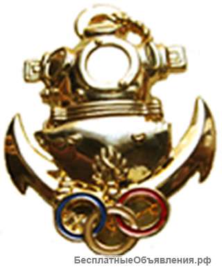 Французский знак водолаза инструктора