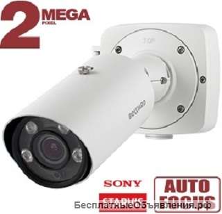 IP камера NT54195Z2