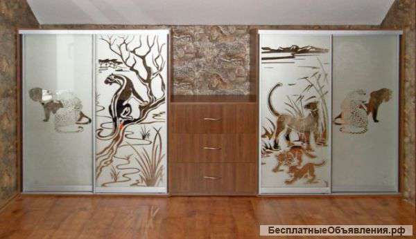 Двери-купе зеркало(сафари)