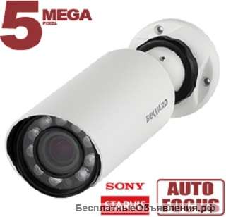 IP камера NT54195Z1