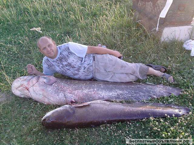 Каркасные бани и дома