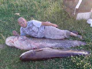 Каркасные бани и дома