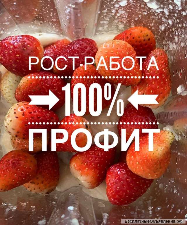 Ищу напарника
