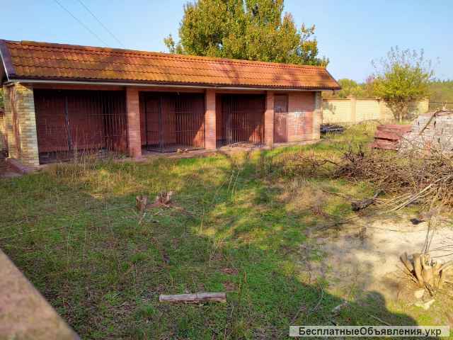 Дом в Прохоровке каневский заповедник Днепр лес