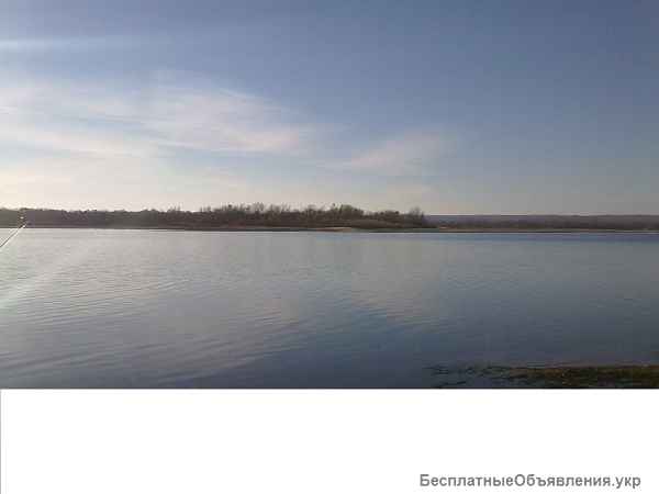 Дом в Прохоровке каневский заповедник Днепр лес