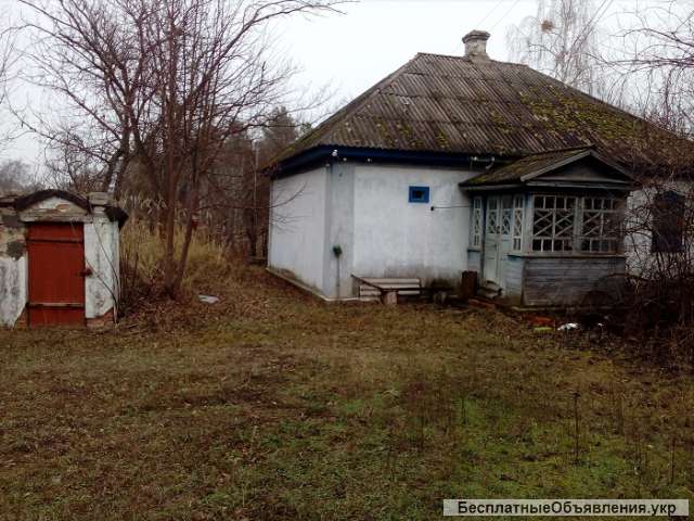 Дом у леса Келеберда каневский Днепр газ