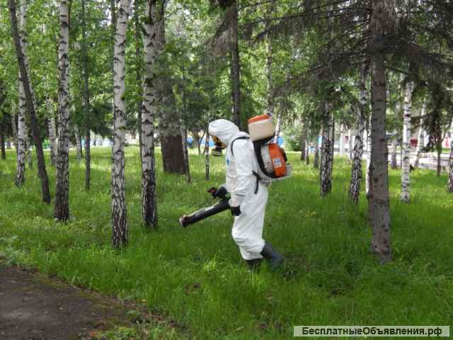 Уничтожение клещей обработка участков от клещей и комаров Волоколамск