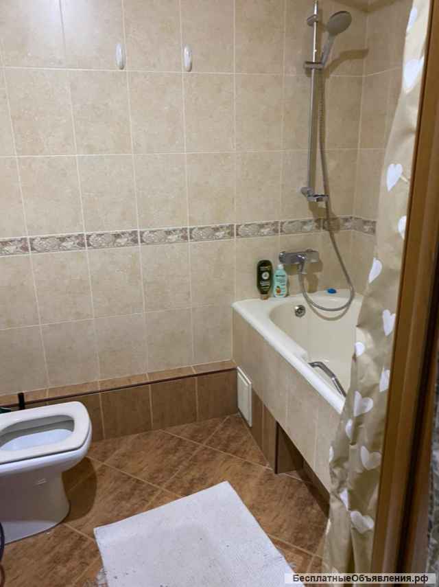 1 комнатная кв-ра, Центр, Красноармейская, 7/10кирп; 45/25/10евроремонт, Цена 4300000