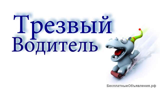 Трезвый водитель